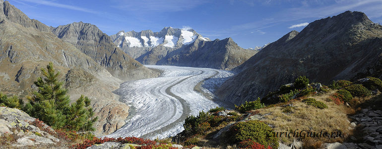 Ледник Алетч, Швейцария