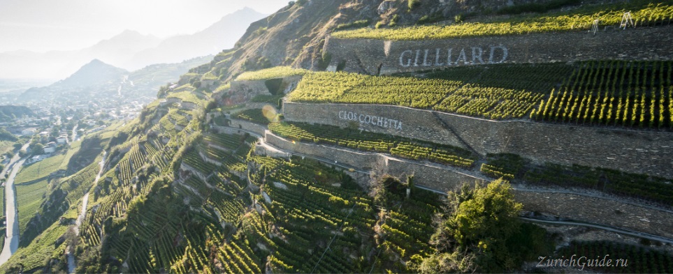 Valais vineyards Вина Швейцарии - какие вины делают в разных регионах Швейцарии, самые известные и лучшие вина Швейцарии, какое швейцарское попробовать.