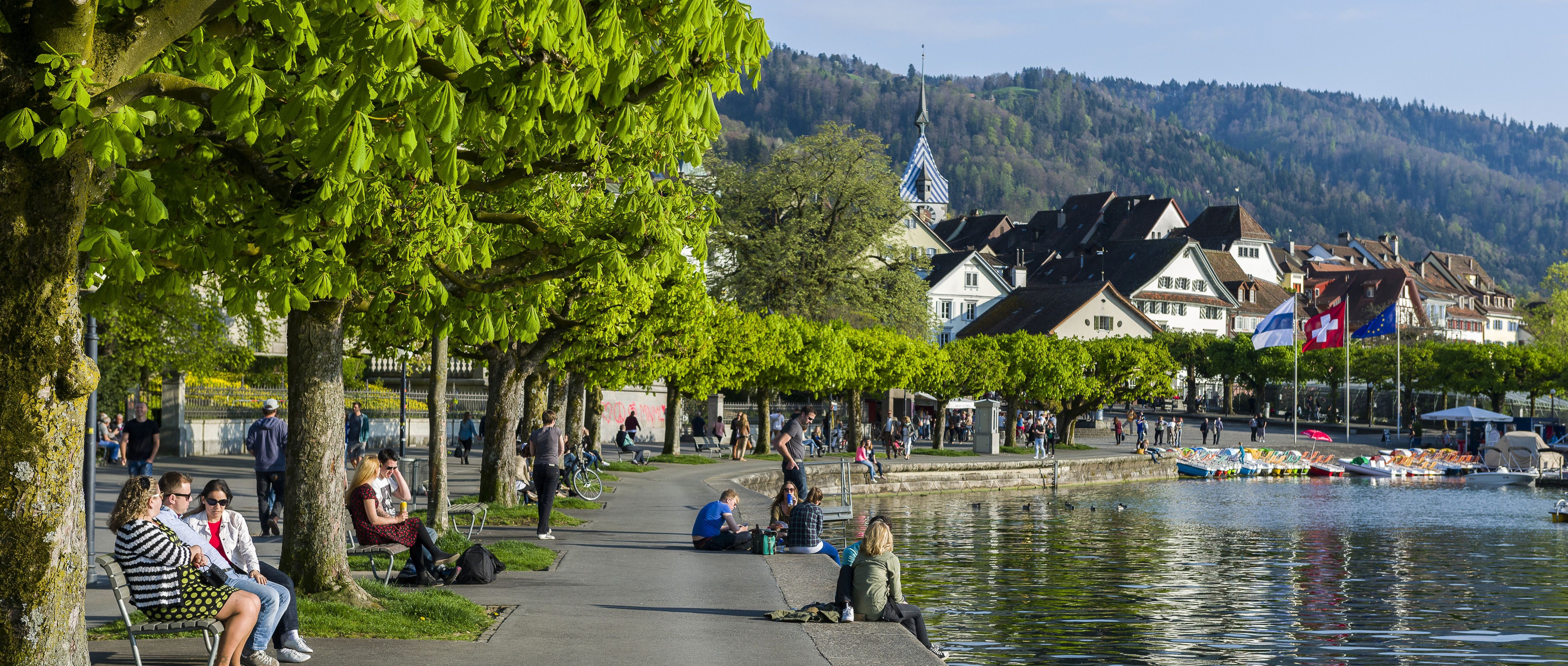 Окрестности Цюриха - что посмотреть вокруг Цюриха, города и достопримечательности рядом с Цюрихом