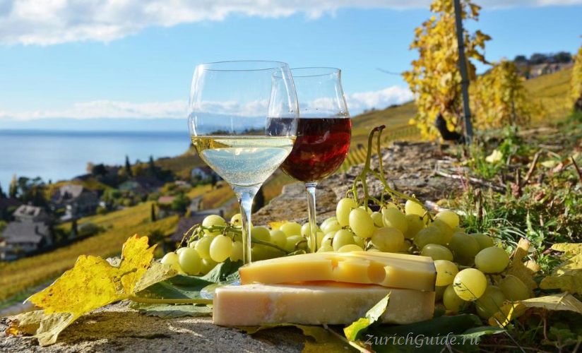 Террасные виноградники Лаво (Lavaux) Вина региона Лаво