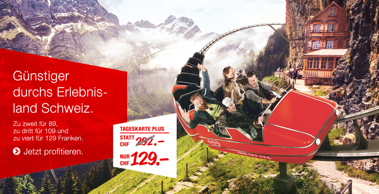 Билет по всей Швейцарии в 2 - 3 раза дешевле!