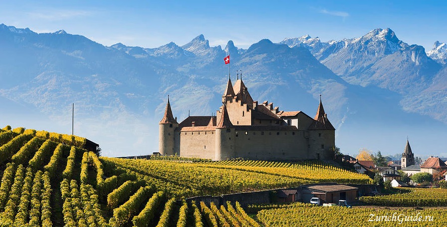 Aigle-castle Вина Швейцарии - какие вины делают в разных регионах Швейцарии, самые известные и лучшие вина Швейцарии, какое швейцарское попробовать.