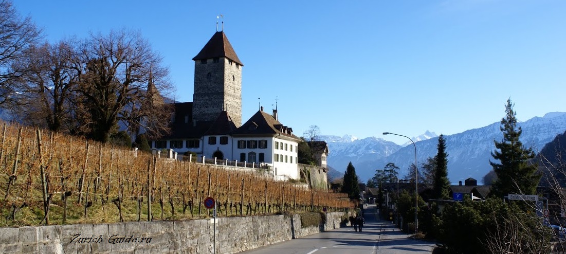 Spiez-6 Вина Швейцарии - какие вины делают в разных регионах Швейцарии, самые известные и лучшие вина Швейцарии, какое швейцарское попробовать.