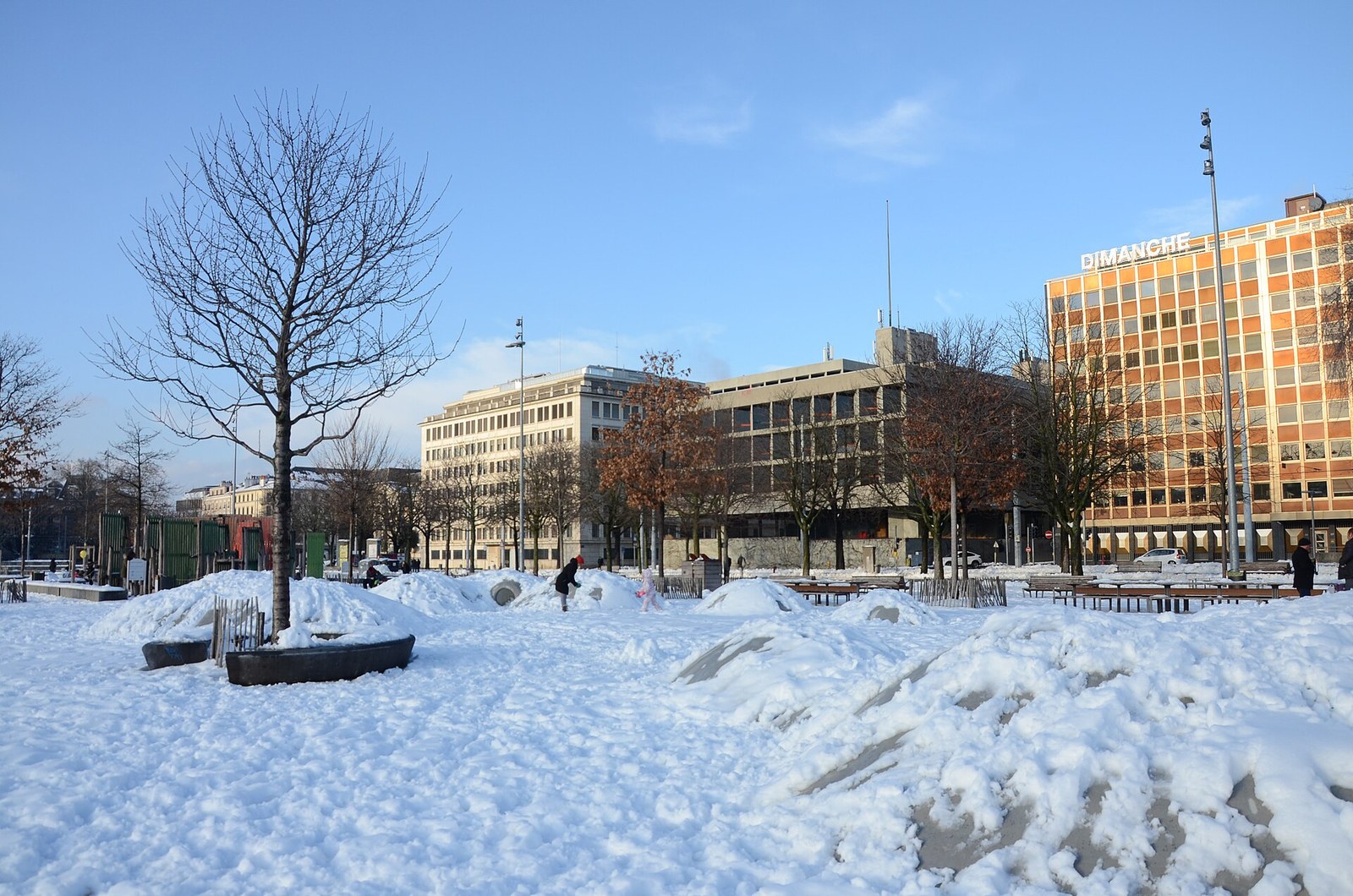 Image result for Plaine de Plainpalais Geneva